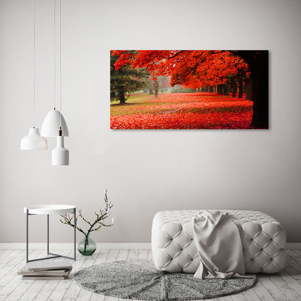 Wall art on glass Trees in autumn