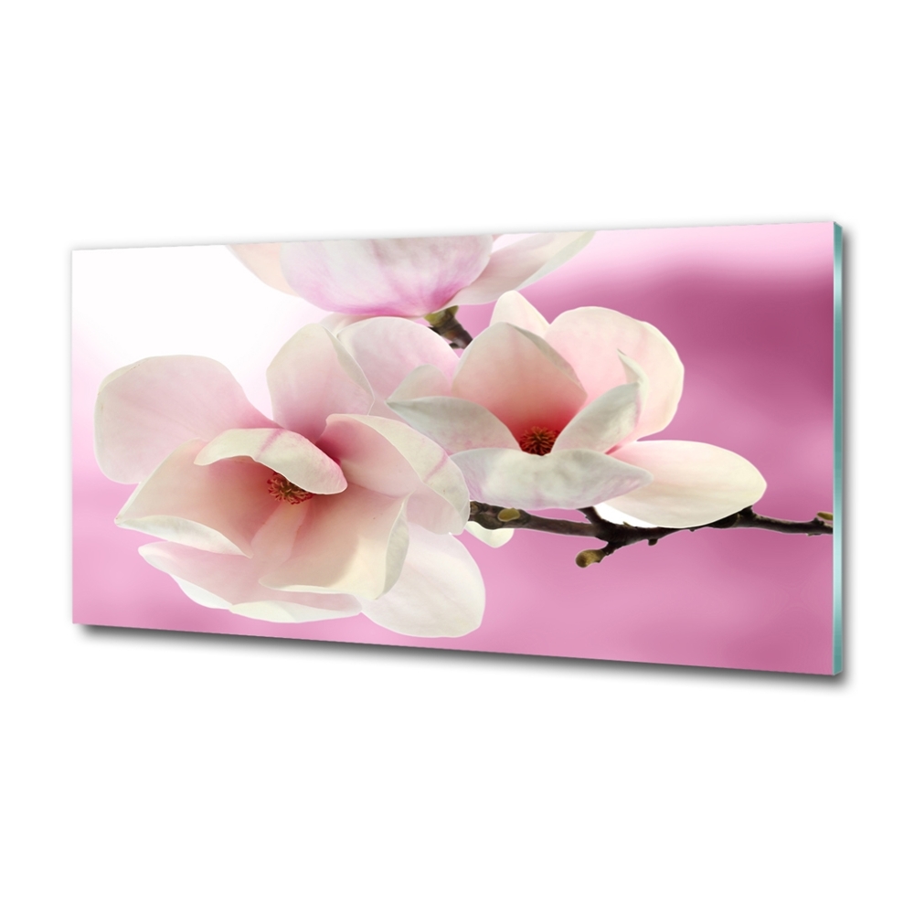 Glass art print Magnolia