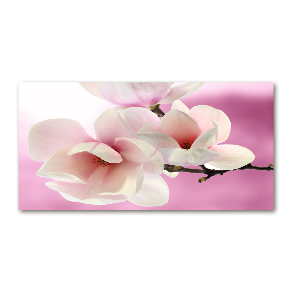 Glass art print Magnolia