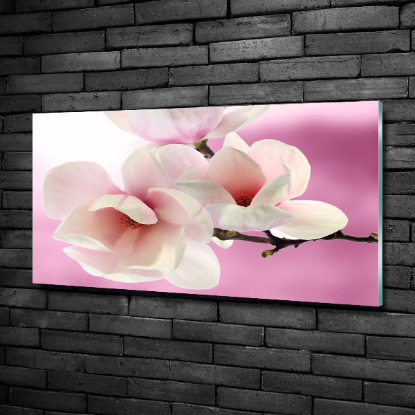 Glass art print Magnolia