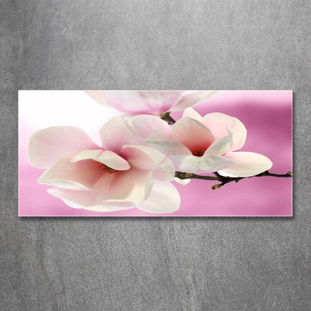 Glass art print Magnolia