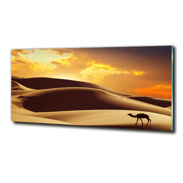 Wall art on glass Sahara camel