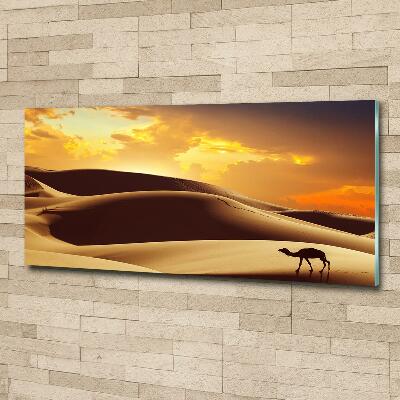 Wall art on glass Sahara camel