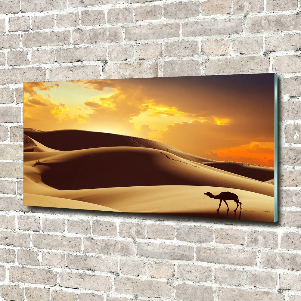 Wall art on glass Sahara camel