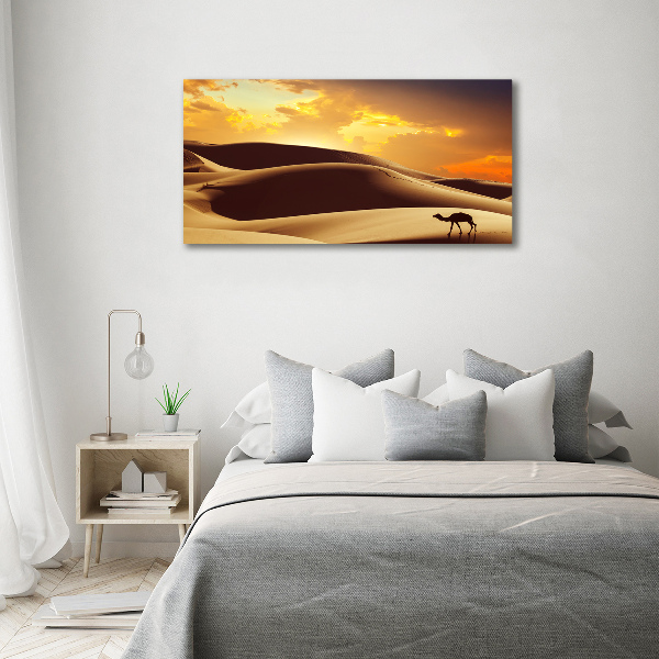 Wall art on glass Sahara camel