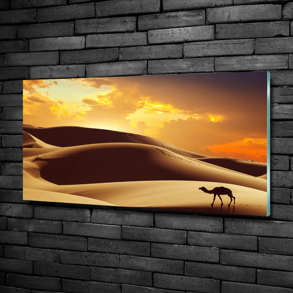 Wall art on glass Sahara camel