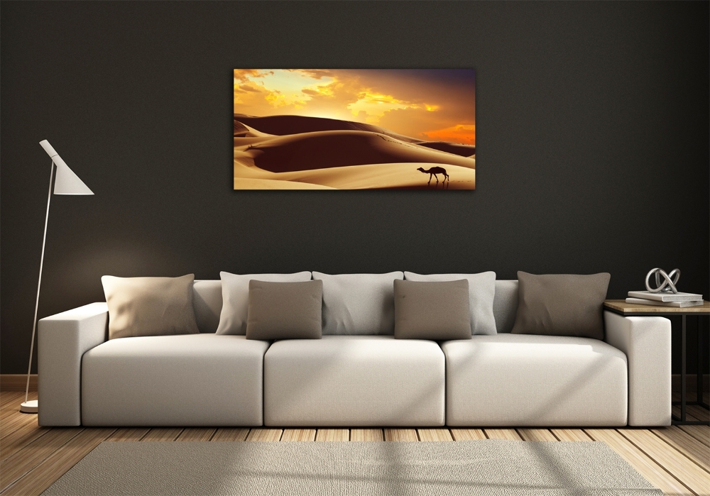 Wall art on glass Sahara camel