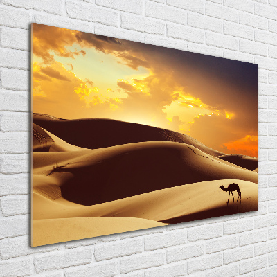 Wall art on glass Sahara camel