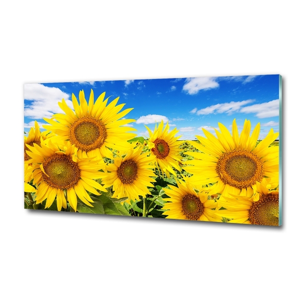 Wall art on glass Sunflowers