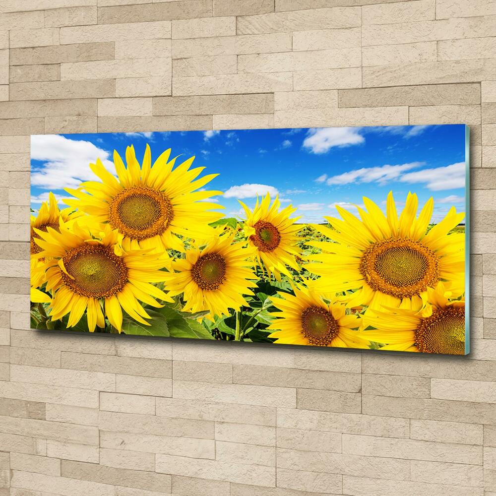 Wall art on glass Sunflowers