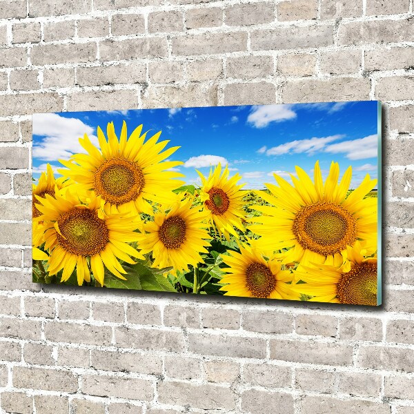 Wall art on glass Sunflowers