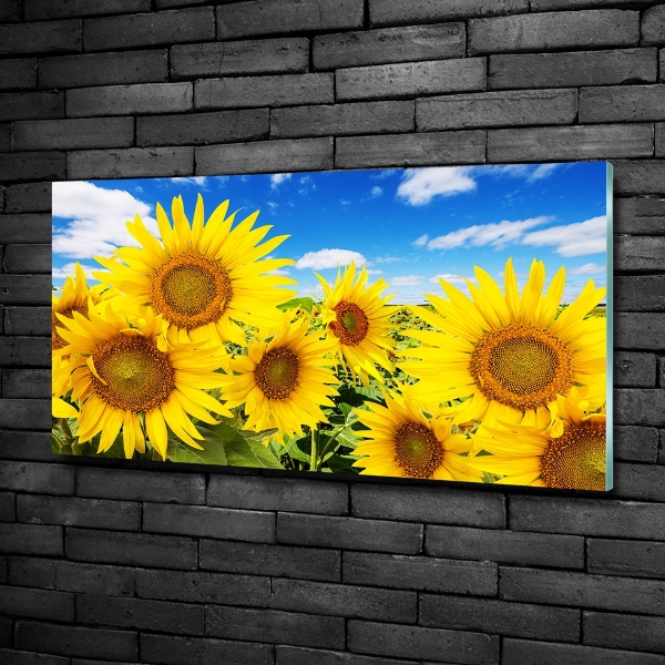 Wall art on glass Sunflowers