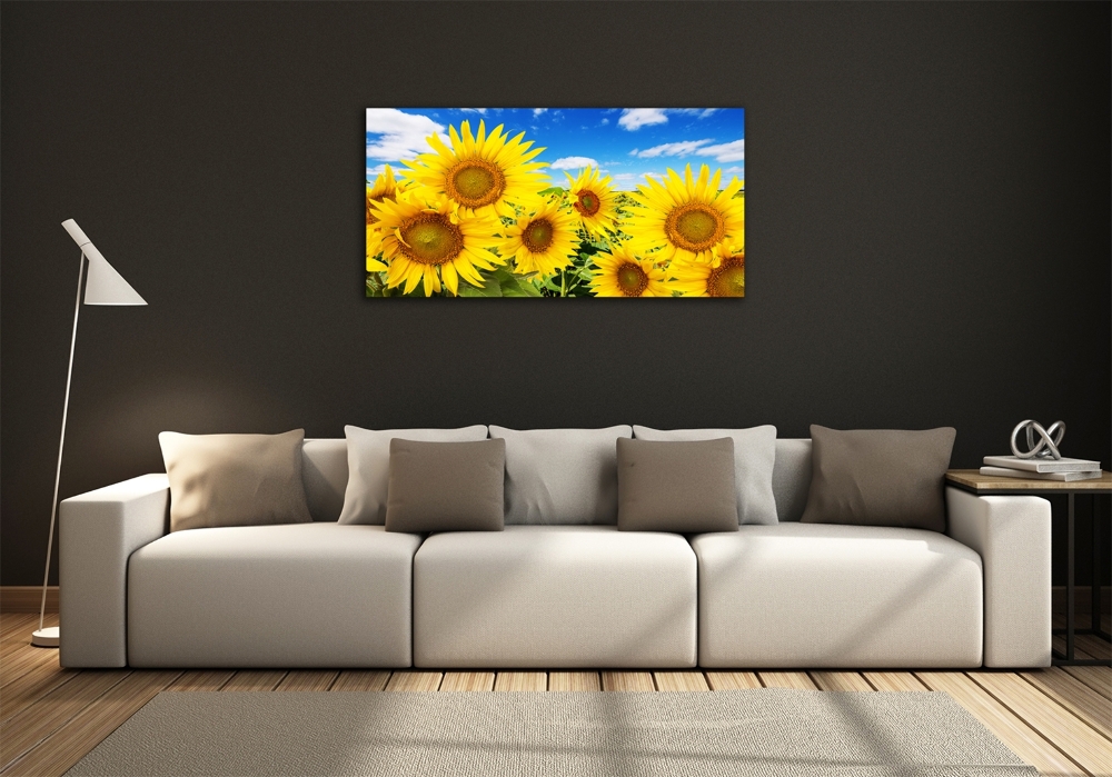 Wall art on glass Sunflowers