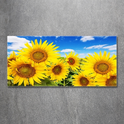 Wall art on glass Sunflowers