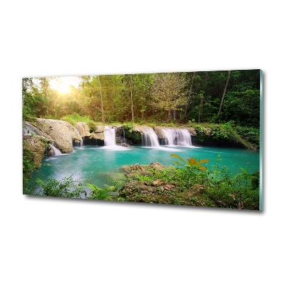 Wall art on glass Waterfall in the forest