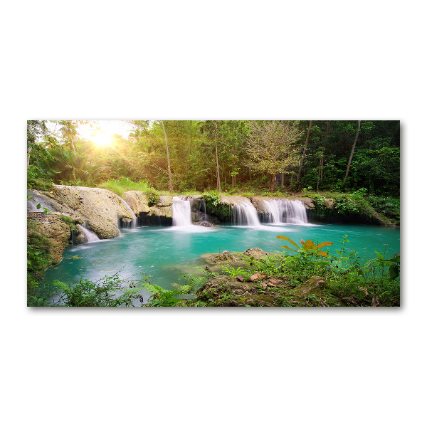 Wall art on glass Waterfall in the forest