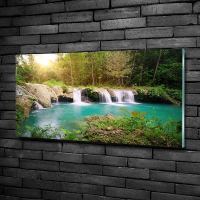 Wall art on glass Waterfall in the forest