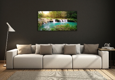 Wall art on glass Waterfall in the forest