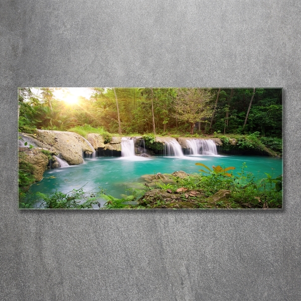 Wall art on glass Waterfall in the forest