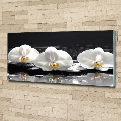 Glass art print Orchid