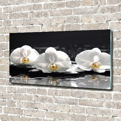 Glass art print Orchid