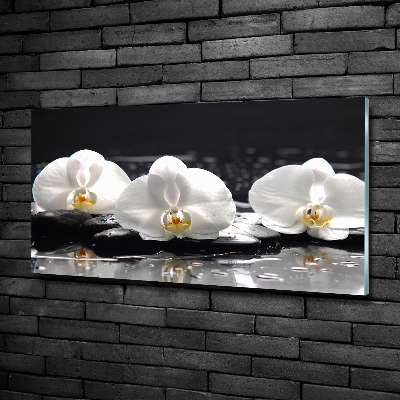 Glass art print Orchid