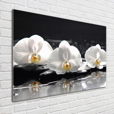 Glass art print Orchid