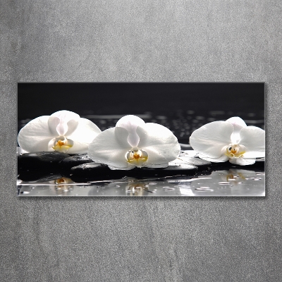 Glass art print Orchid