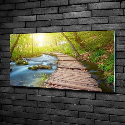 Wall art on glass Path in the forest