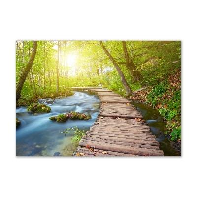 Wall art on glass Path in the forest