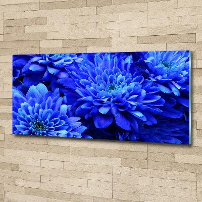 Glass art print Blue aster