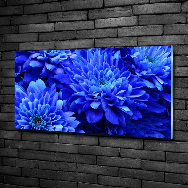 Glass art print Blue aster