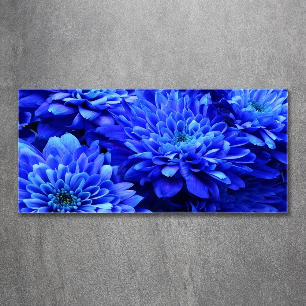 Glass art print Blue aster