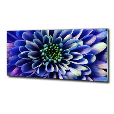 Glass art print Aster