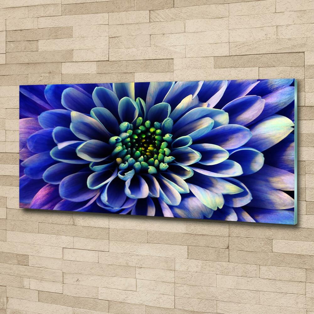 Glass art print Aster