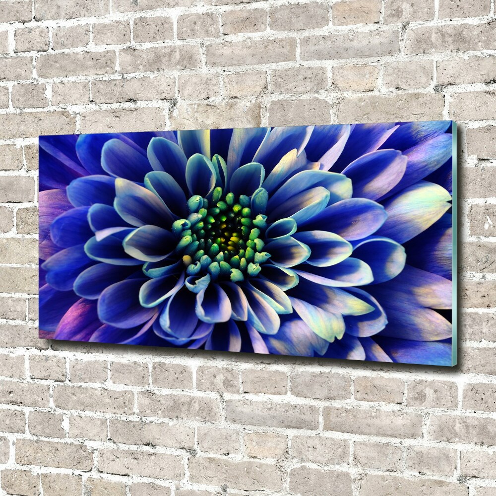 Glass art print Aster