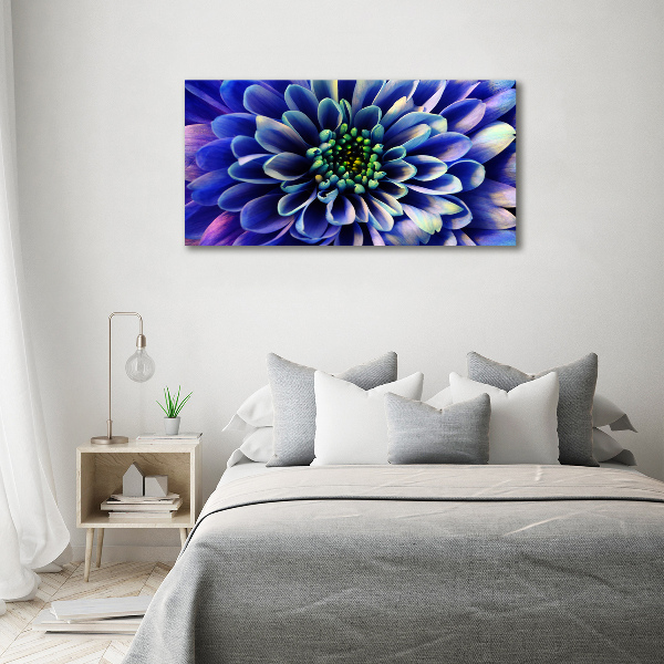 Glass art print Aster