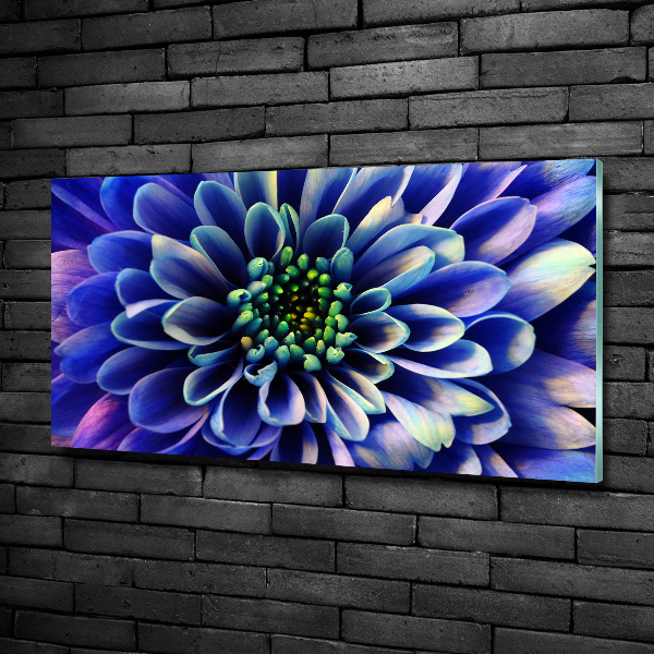 Glass art print Aster