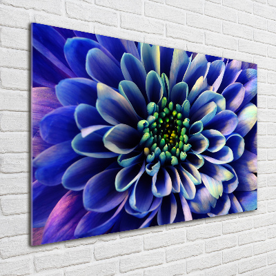 Glass art print Aster