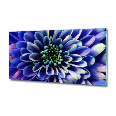 Glass art print Aster