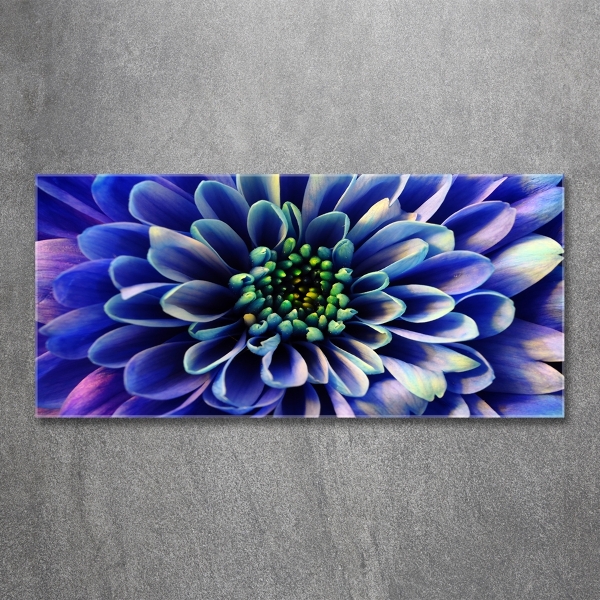 Glass art print Aster