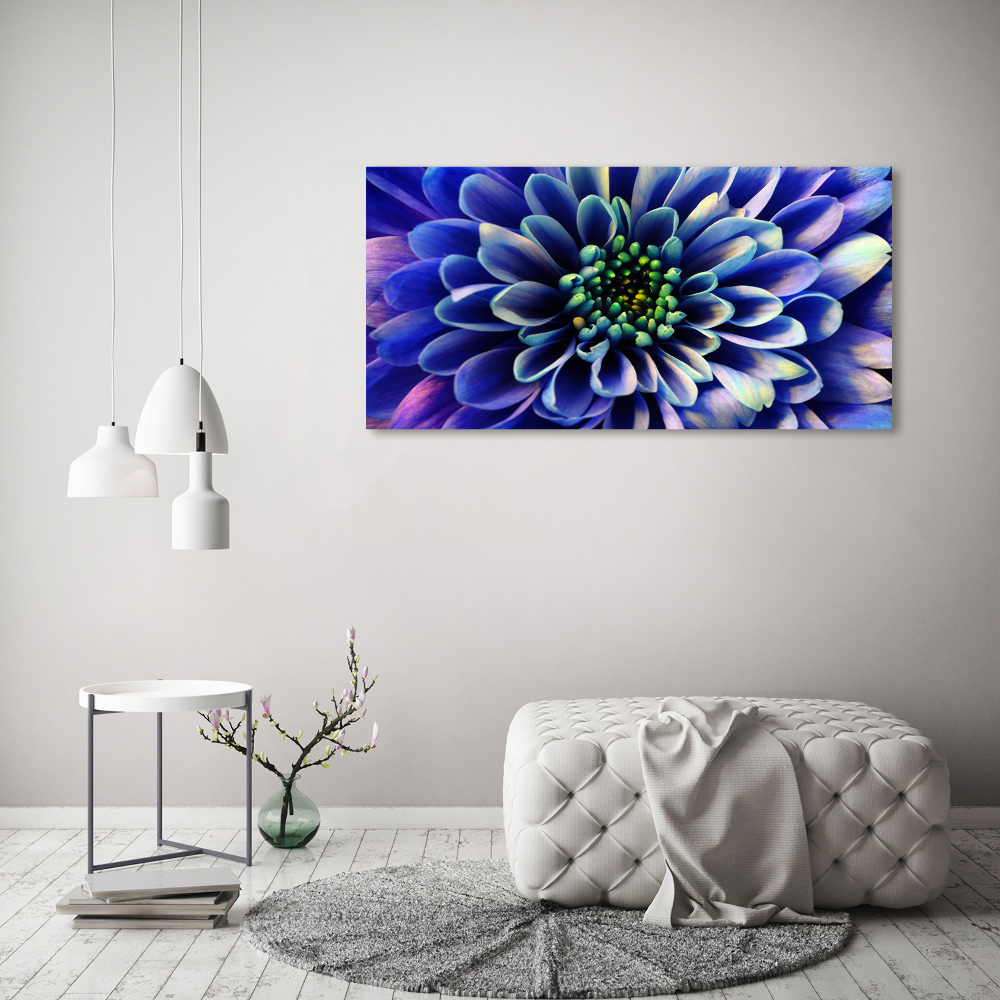 Glass art print Aster