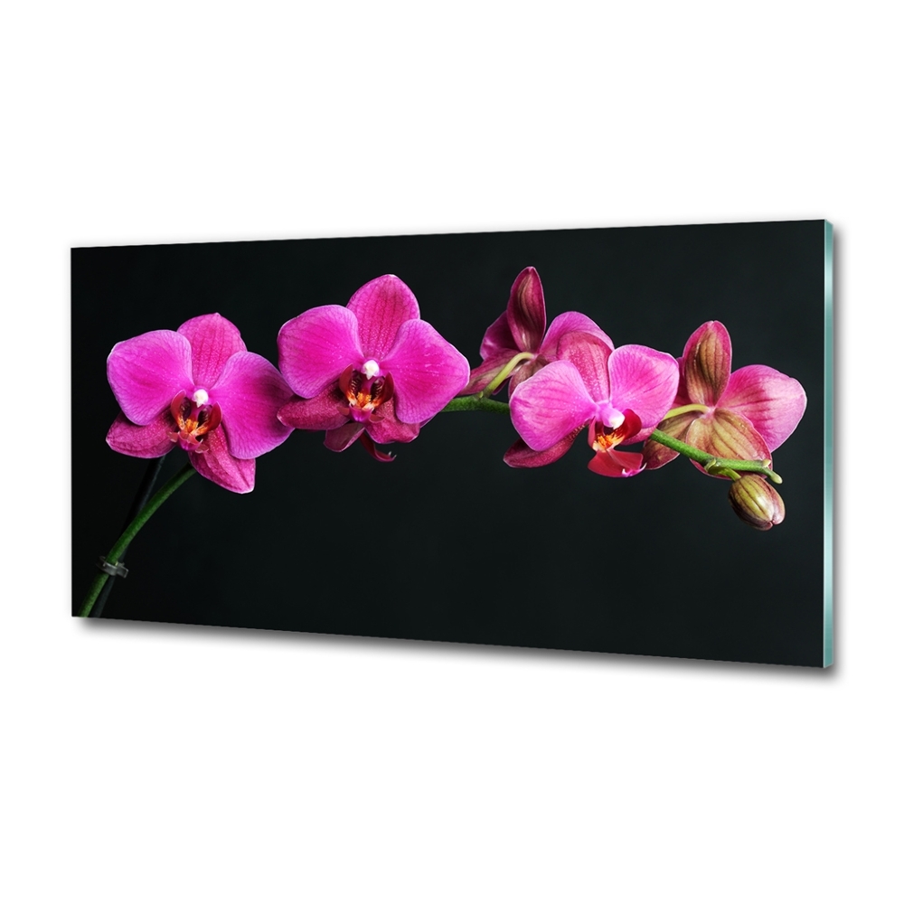 Wall art on glass Orchid