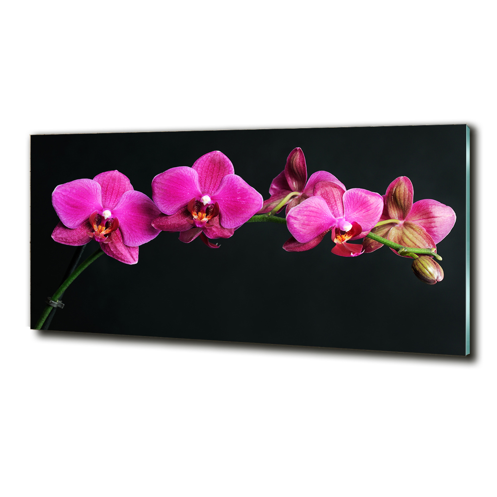 Wall art on glass Orchid