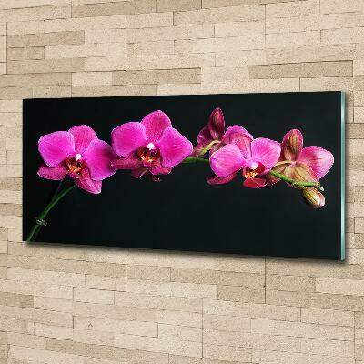 Wall art on glass Orchid