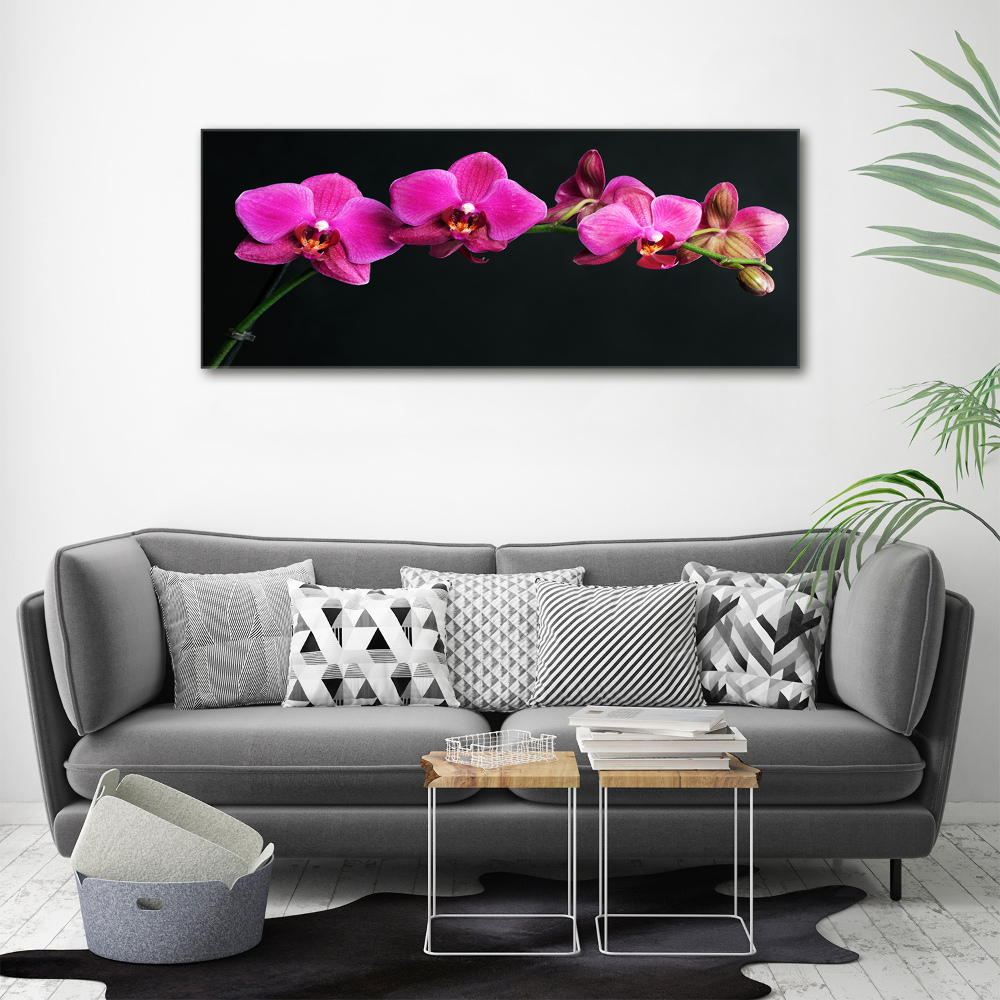 Wall art on glass Orchid