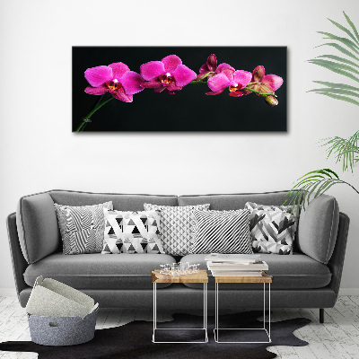 Wall art on glass Orchid