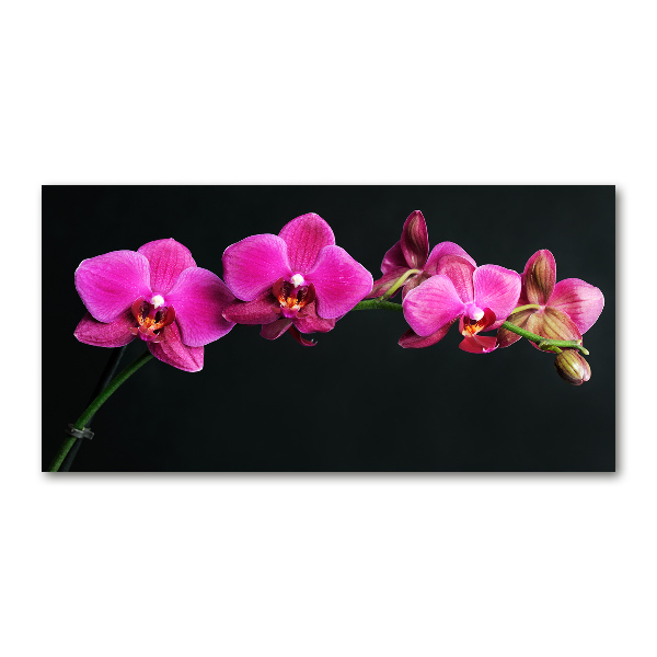 Wall art on glass Orchid