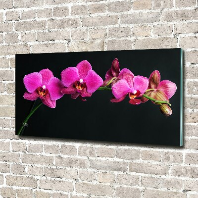 Wall art on glass Orchid