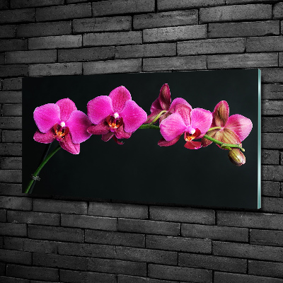 Wall art on glass Orchid